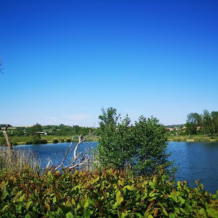 Gite A La Campagne - Etat Nature Magnieres Екстериор снимка