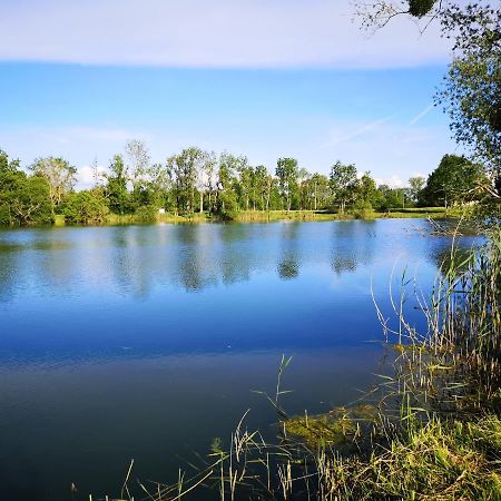 Gite A La Campagne - Etat Nature Magnieres Екстериор снимка